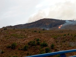 El PSOE exige a la Junta "transparencia para evitar especulaciones en la zona afectada por el incendio de Los Guájares"
